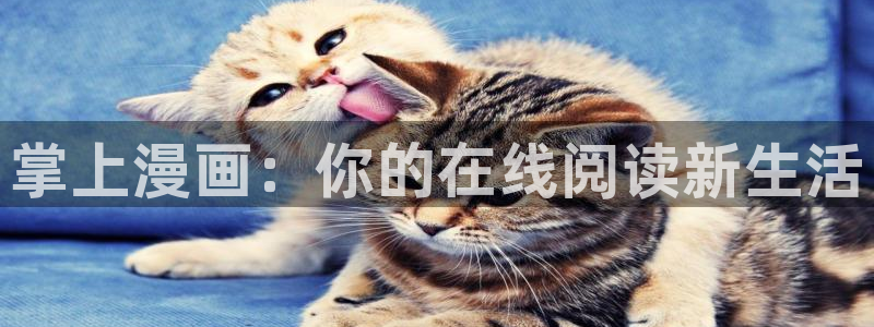 漫画岛屿